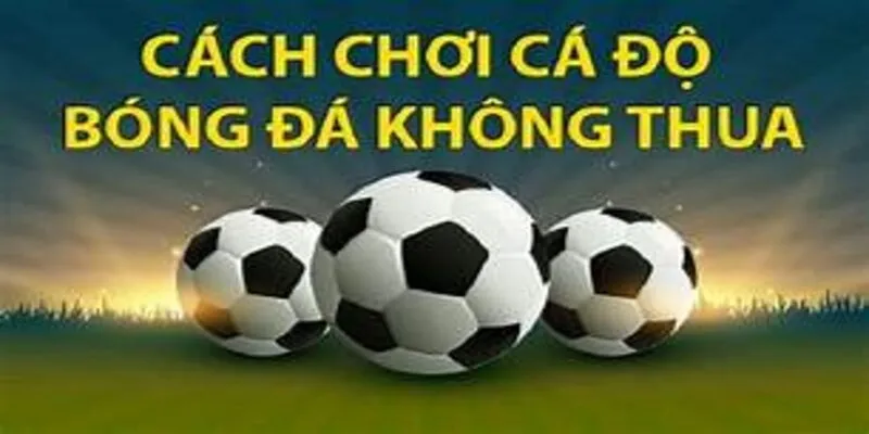 Bí kíp chơi cá độ bóng đá dễ ăn